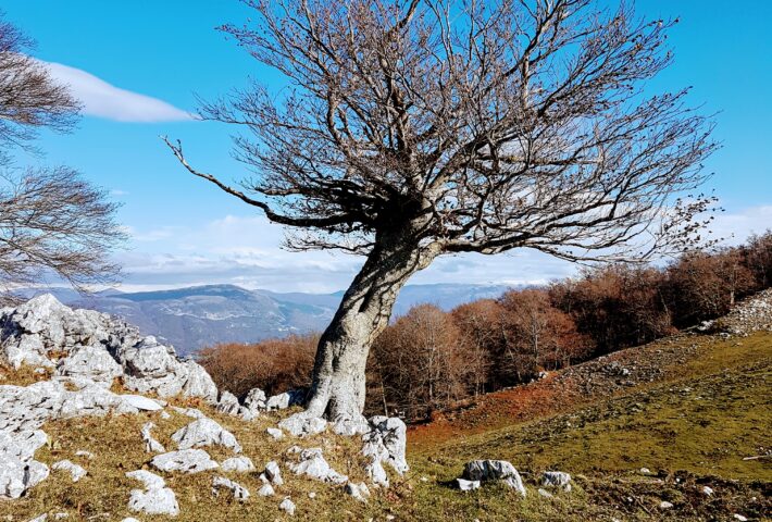 Il Monte Serrapopolo
