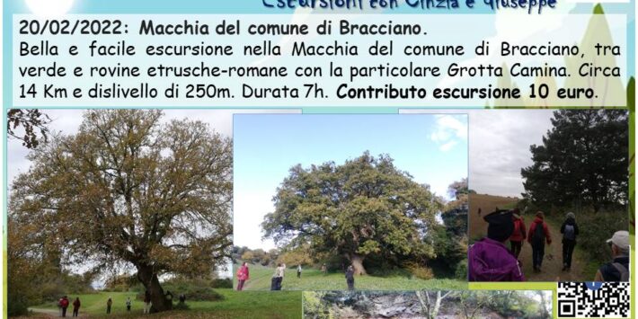 Macchia del comune di Bracciano