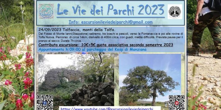 Tolfaccia (monti della Tolfa)