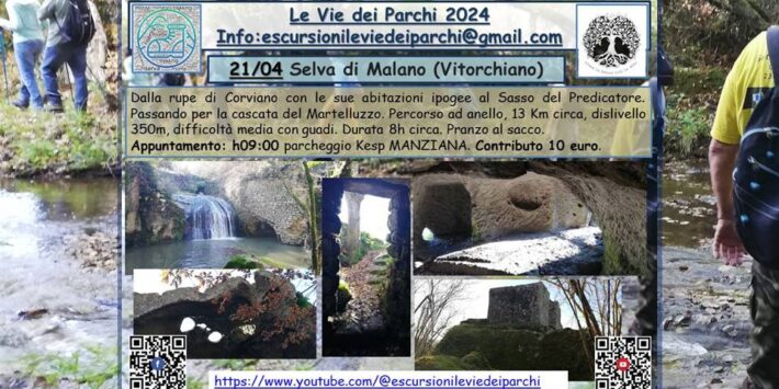 Selva di Malano (Vitorchiano)