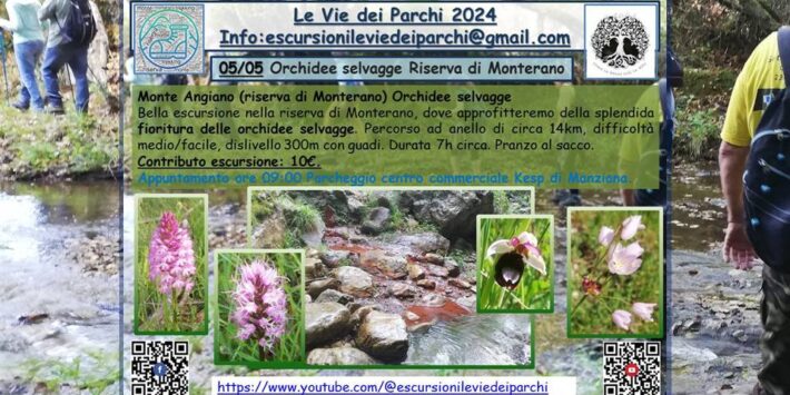 Orchidee selvagge Riserva di Monterano