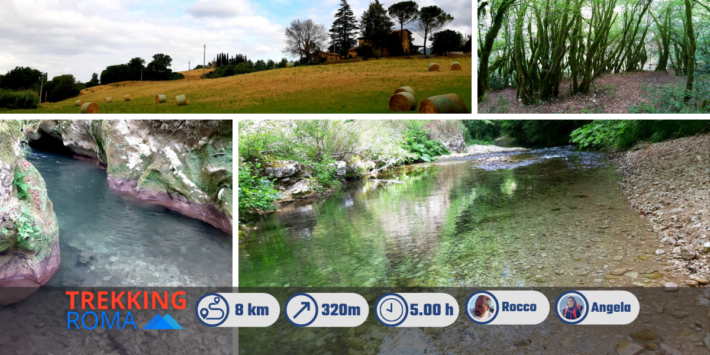 LE GOLE DEL FARFA ED IL BOSCO INCANTATO