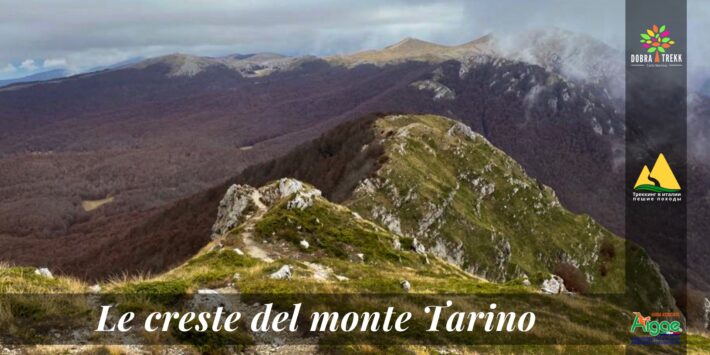 Le Creste del Monte Tarino