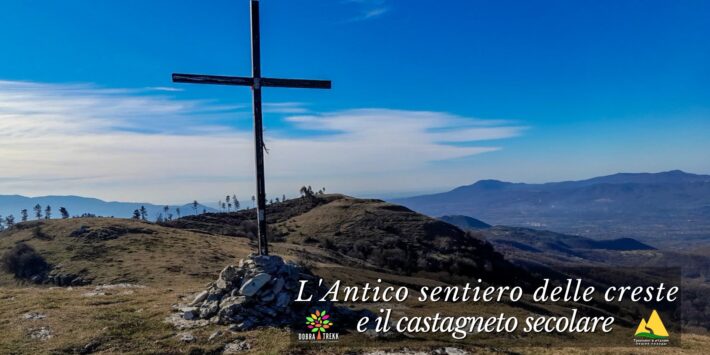 L’Antico sentiero delle creste e il castagneto secolare