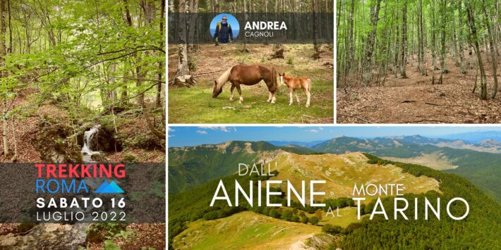 DALL’ANIENE AL MONTE TARINO
