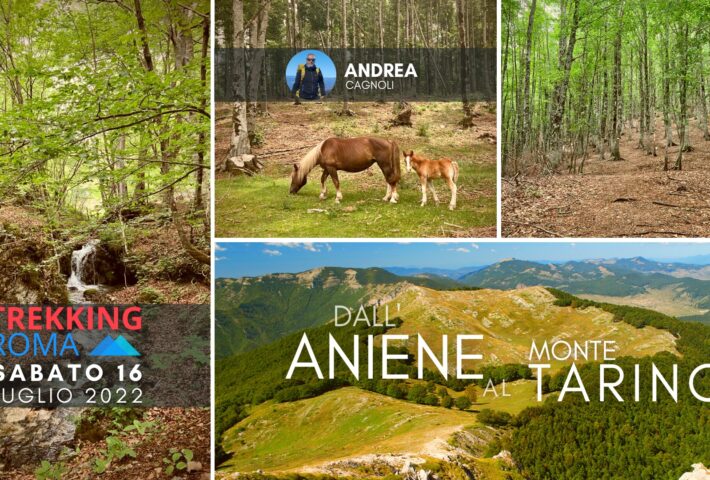 DALL’ANIENE AL MONTE TARINO