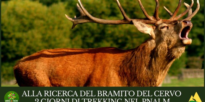 ALLA RICERCA DEL BRAMITO DEL CERVO – 2 giorni di trekking nel PNALM