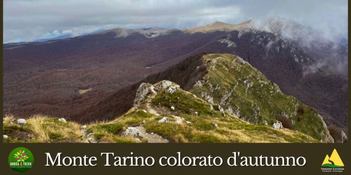 Monte Tarino colorato d’autunno