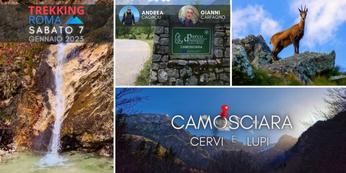 CAMOSCIARA ? CERVI e ? LUPI