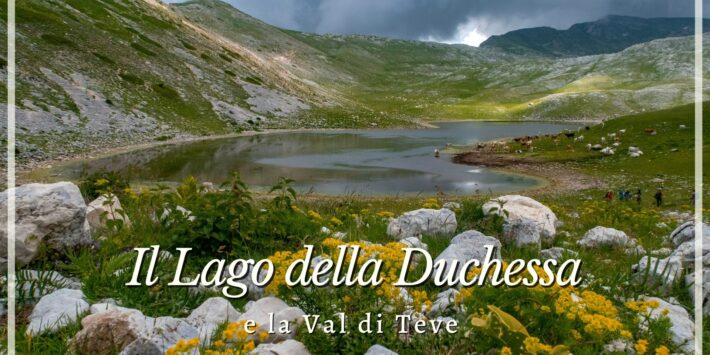 ANELLO DELLA DUCHESSA