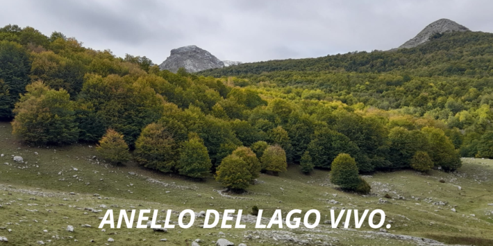 ANELLO DEL LAGO VIVO.