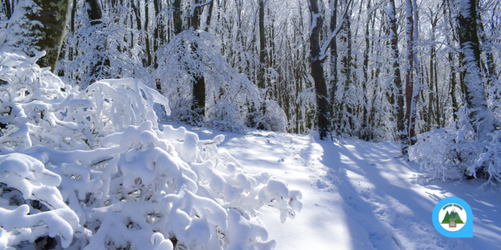 Il sentiero del pozzo della neve
