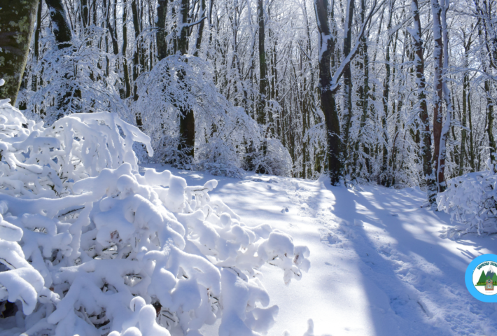 Il sentiero del pozzo della neve