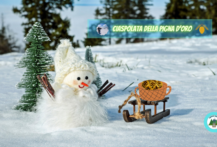 Alla conquista della Pigna d’Oro con le ciaspole