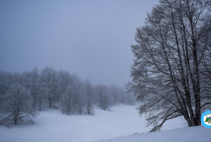Colle Campitellino con le Ciaspole