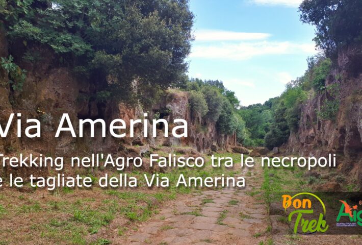 Trekking nell’Agro Falisco tra le necropoli e le tagliate della Via Amerina