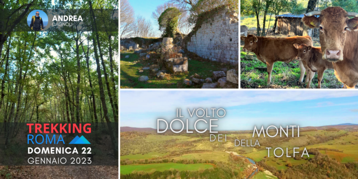 IL VOLTO DOLCE DEI MONTI DELLA TOLFA