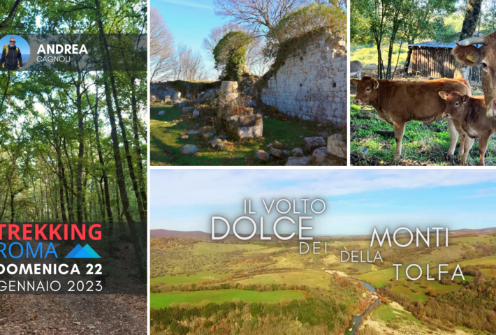 IL VOLTO DOLCE DEI MONTI DELLA TOLFA