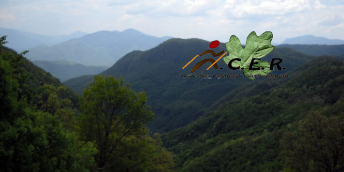 MONTI LUCRETILI: DA MONTEFLAVIO AL MONTE PELLECCHIA (M 1368)