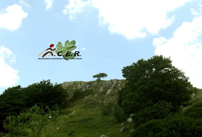 Massiccio Del Terminillo: Da Pian De’ Valli Al Monte Cardito E La Sella Di Val D’organo