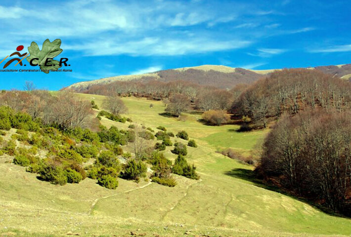 MONTI DEL REATINO: IL FAGGIO DI S. FRANCESCO E IL MONTE FAUSOLA (1325 M)