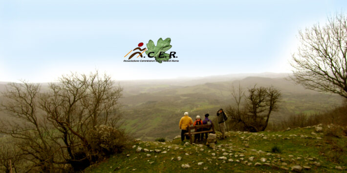 MONTI DELLA TOLFA: LE ROVINE DI MONTE PIANTANGELI