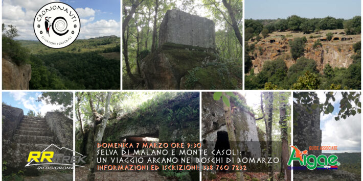 Selva di Malano e Monte Casoli: un viaggio arcano nei boschi di Bomarzo