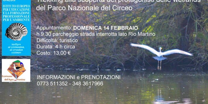 L’anello di Monaci