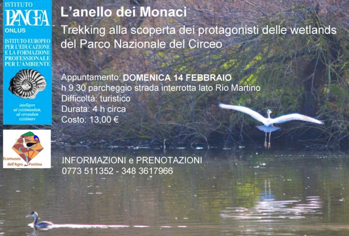 L’anello di Monaci