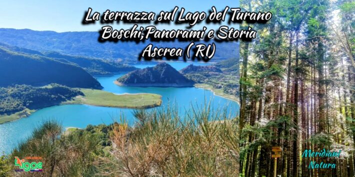 Ascrea (RI) – La terrazza su Lago del Turano. Boschi ,Panorami e Storia
