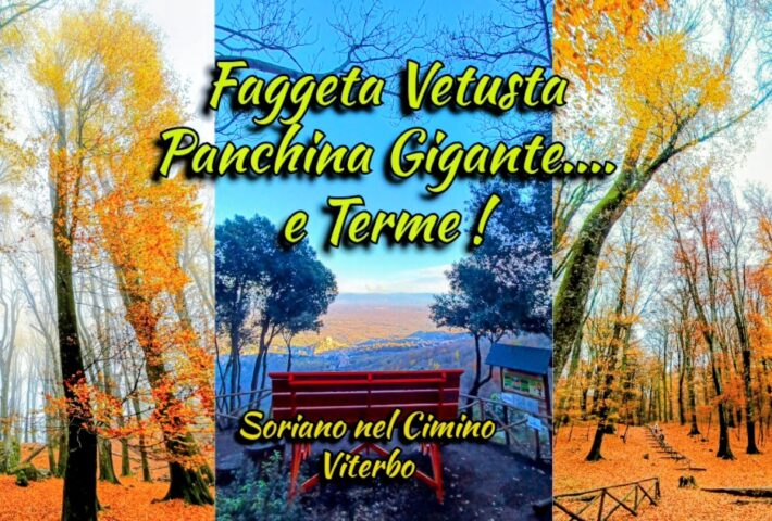 🍁Faggeta Vetusta, Panchina Gigante e 💦🌡️Terme! Soriano nel Cimino, Viterbo