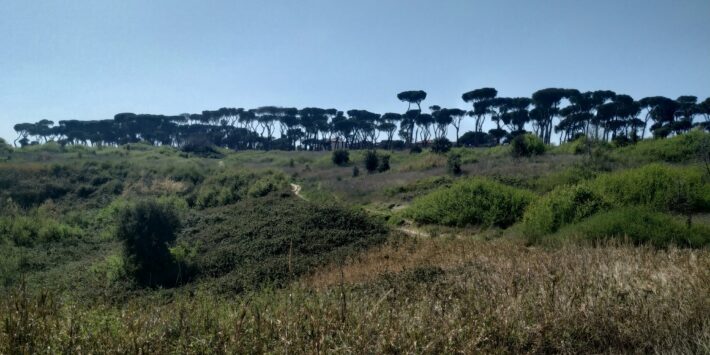 trekking urbano e fitnessPilates