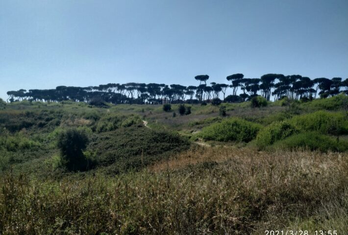 trekking urbano e fitnessPilates