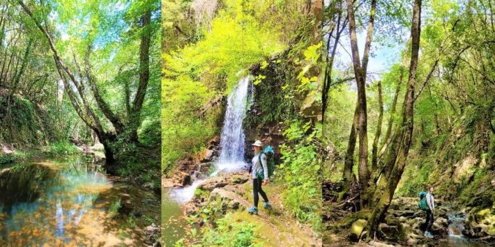 Wild Cerveteri: Fosso del Norcino e Monte Tosto
