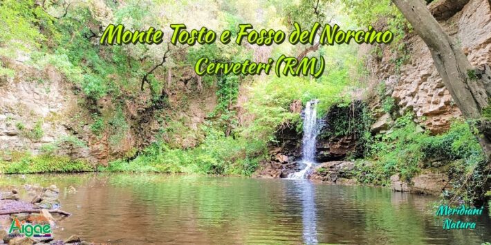 Wild Cerveteri: Monte Tosto e Fosso del Norcino