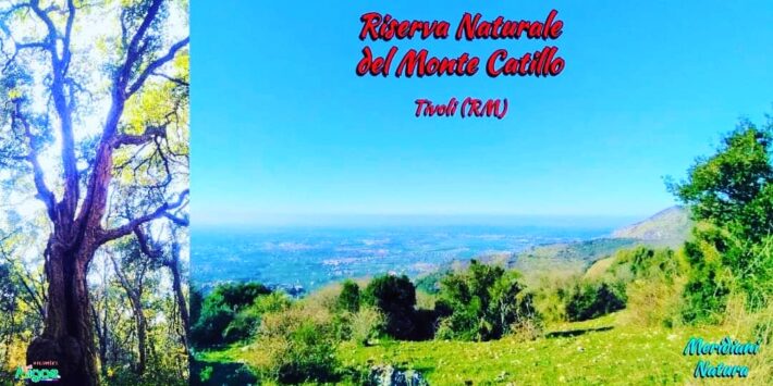 Nella Riserva Naturale del Monte Catillo, Tivoli (RM)