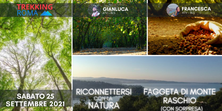 Faggeta di Monte Raschio