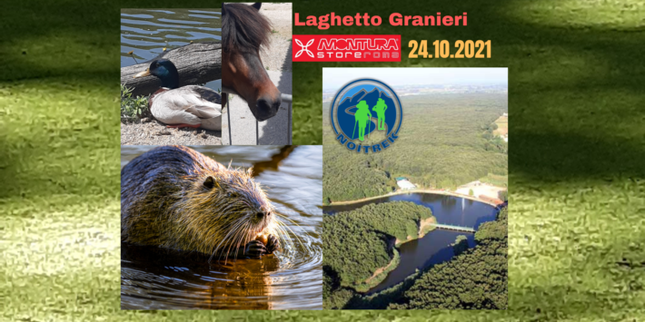 LAGHETTO GRANIERI – La spiaggia nel bosco – Animali, Natura e BARBECUE