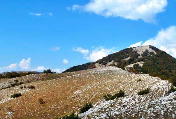 DAL MONTE TANCIA AL CIBO IN PANCIA!