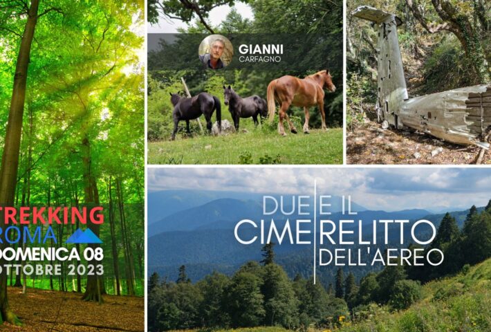 MONTE PELLECCHIA – 2 CIME – IL RELITTO DELL’AEREO