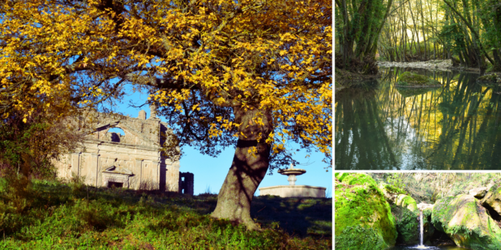 I SENTIERI DELLA RISERVA DI MONTERANO