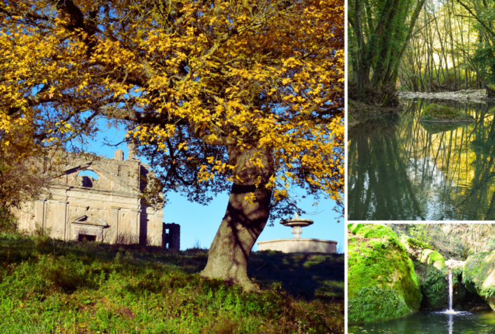 I SENTIERI DELLA RISERVA DI MONTERANO