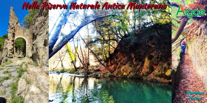 La Riserva naturale di Monterano e le sue Meraviglie!