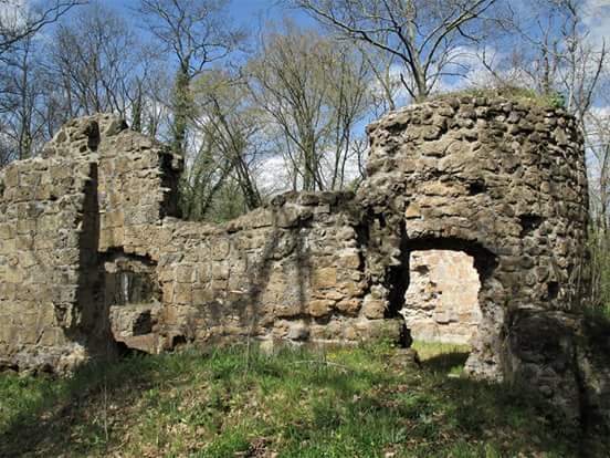 Escursione Natura & Medioevo