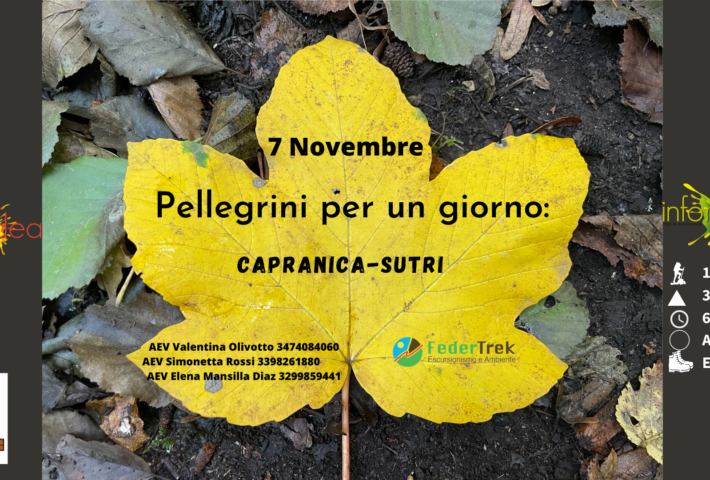 PELLEGRINI PER UN GIORNO: Capranica-Sutri