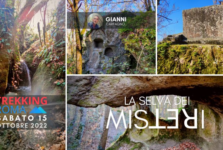 LA SELVA DEI MISTERI