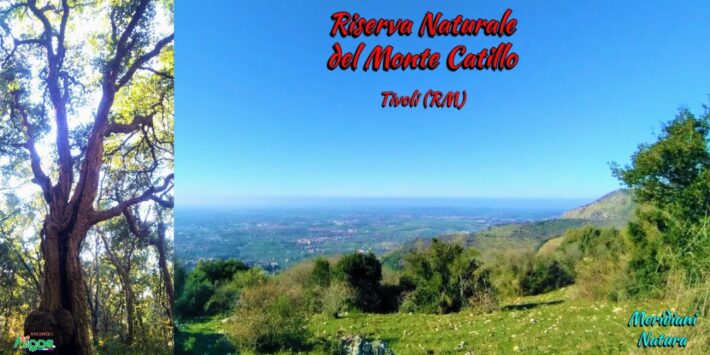 Riserva Naturale del Monte Catillo ??, Tivoli (RM)