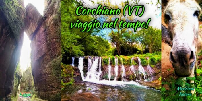 Monumento Naturale Forre di Corchiano ( VT)