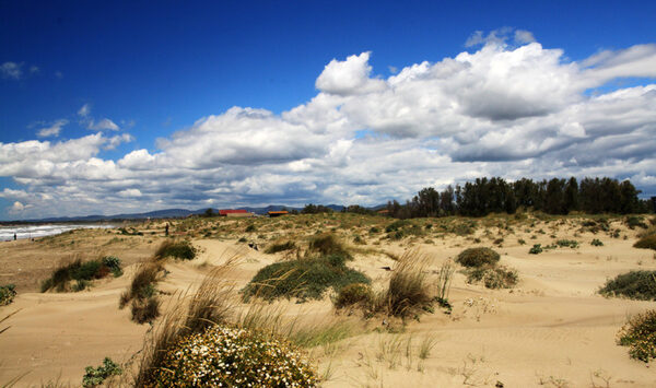 biciclettata a Fregene con Guida