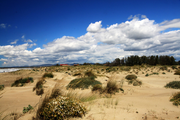 biciclettata a Fregene con Guida